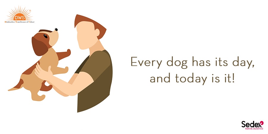 Every dog has its day, and today is it!